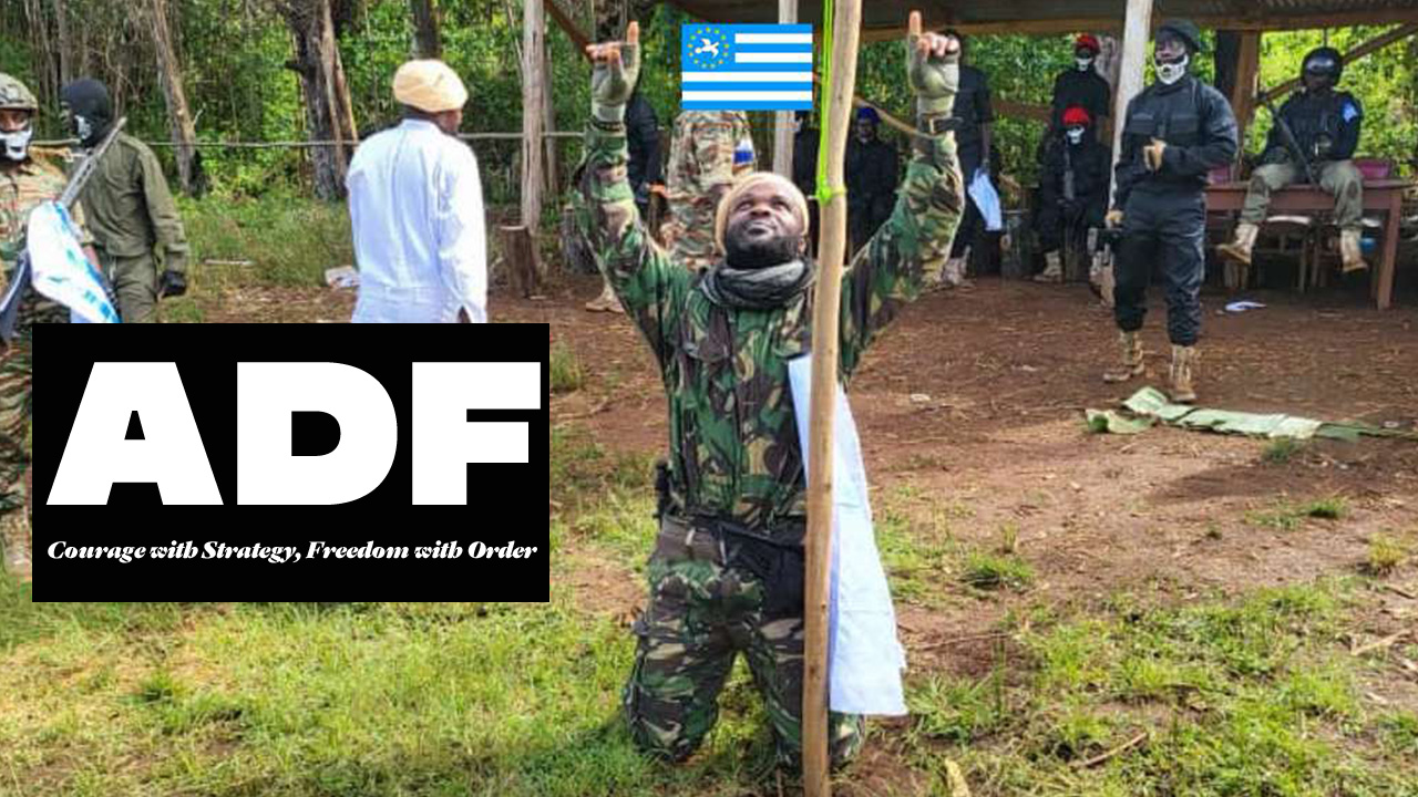 The Ambazonia War of Liberation Is Methodical: Inside the Strategic ...